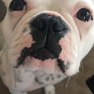 Meet your Posher, Tanya